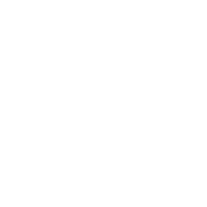 Technauda-Logo